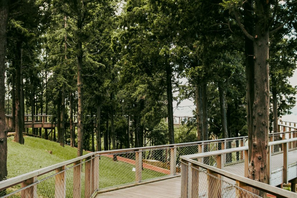 cloture jardin