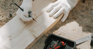 Pourquoi faire appel à un constructeur maison ossature bois Gers ?